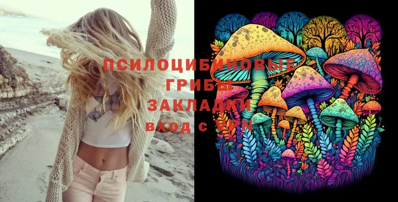 купить  сайты  Павлово  Псилоцибиновые грибы Psilocybe 